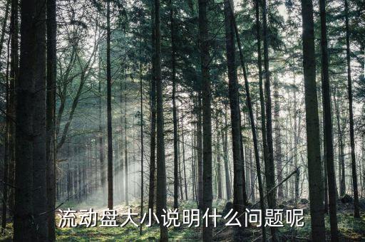 流通盤大小是什么意思，流通盤大小作用等