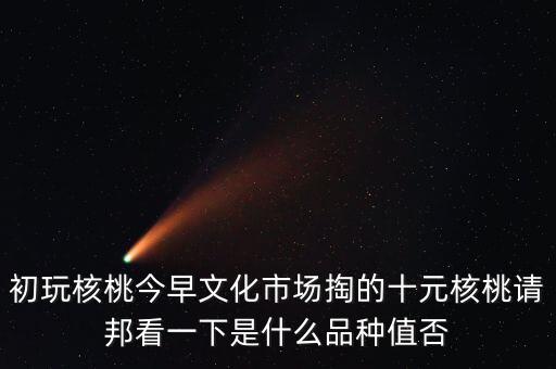 賭核桃是什么品種，請(qǐng)問我這個(gè)手玩核桃是什么品種好嗎值多錢