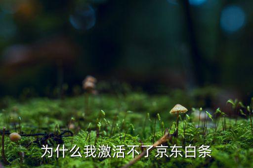 為什么京東的白條激活不了，京東商城的白條為什么激活不了