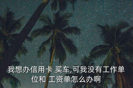 我想辦信用卡 買車,可我沒(méi)有工作單位和 工資單怎么辦啊