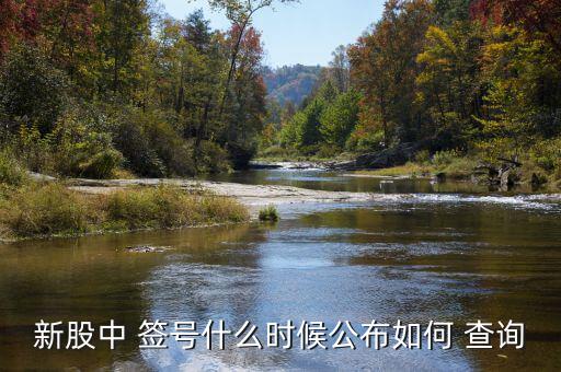 怎么查詢中簽號,新股簽號什么時(shí)候公布?可進(jìn)股票交易軟件查詢