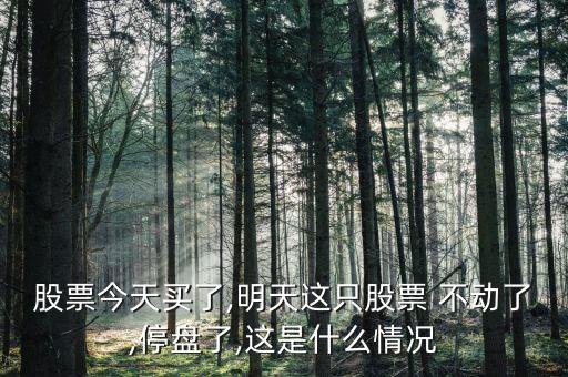 股票今天買了,明天這只股票 不動(dòng)了,停盤(pán)了,這是什么情況