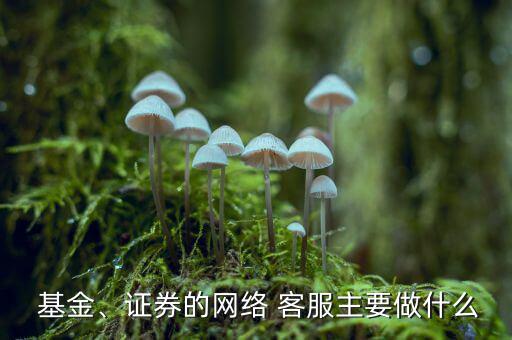  基金、證券的網(wǎng)絡(luò) 客服主要做什么