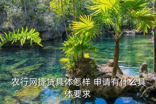 農行數(shù)據(jù)網(wǎng)貸怎么申請,網(wǎng)貸申請流程