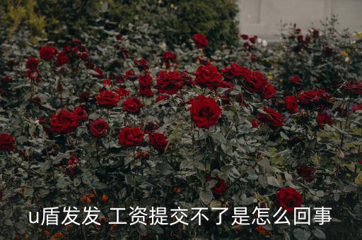 招行u盾怎么發(fā)工資,工行推出一系列安全措施確保用戶(hù)安全