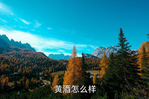 白塔黃酒怎么樣,陳黃灑、黃精統(tǒng)稱為什么?