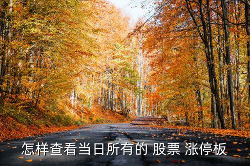 怎樣查看當日所有的 股票 漲停板