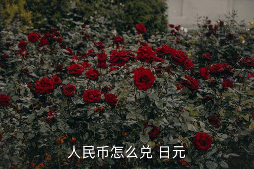 怎么買(mǎi)日元,人民幣可在哪里兌換日元?在日本或在本地!