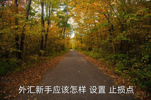  外匯新手應該怎樣 設(shè)置 止損點