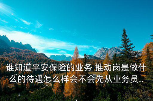 誰知道平安保險的業(yè)務 推動崗是做什么的待遇怎么樣會不會先從業(yè)務員...