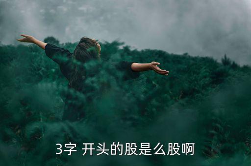 3字 開(kāi)頭的股是么股啊