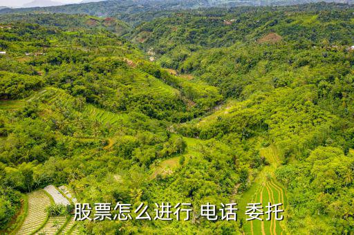 電話委托股票交易怎么查詢(xún),如何在本地證券交易中使用電話委托