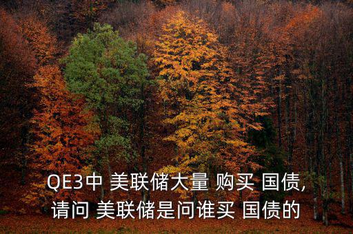 QE3中 美聯(lián)儲(chǔ)大量 購買 國(guó)債,請(qǐng)問 美聯(lián)儲(chǔ)是問誰買 國(guó)債的