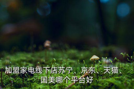 加盟家電線下店蘇寧、京東、天貓、 國(guó)美哪個(gè)平臺(tái)好