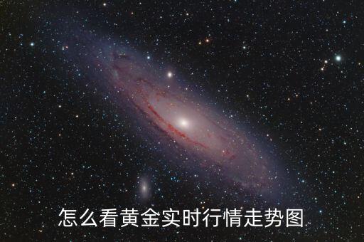 怎么看黃金實(shí)時(shí)行情走勢圖