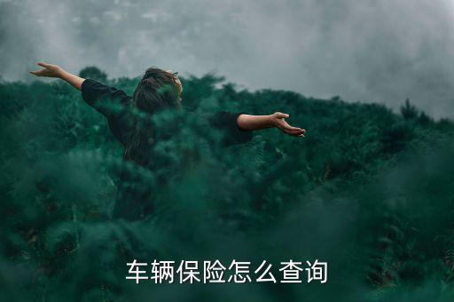 怎么差車(chē)險(xiǎn),國(guó)人可通過(guò)電話(huà)查詢(xún)汽車(chē)保險(xiǎn)情況