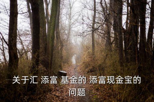 關于匯 添富 基金的 添富現(xiàn)金寶的問題