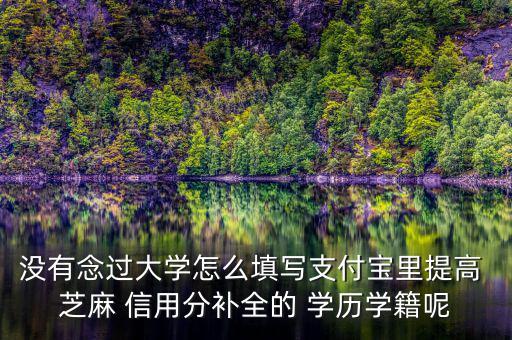 沒有念過(guò)大學(xué)怎么填寫支付寶里提高 芝麻 信用分補(bǔ)全的 學(xué)歷學(xué)籍呢
