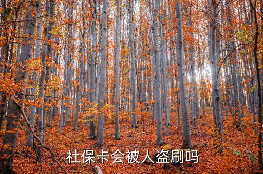 社?？ū槐I刷怎么辦,社保補(bǔ)卡服務(wù)丟了怎么辦