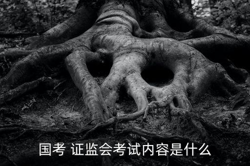 國考 證監(jiān)會(huì)考試內(nèi)容是什么