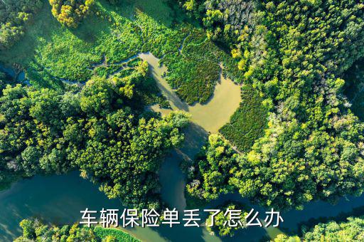 車(chē)輛保險(xiǎn)單丟了怎么辦