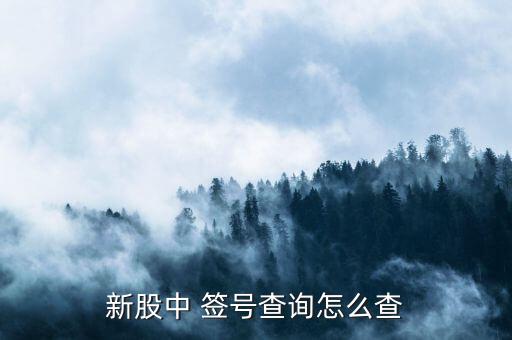 怎么查中簽號(hào),投資者t日申購(gòu)t-1日晚可查詢(xún)到中簽結(jié)果