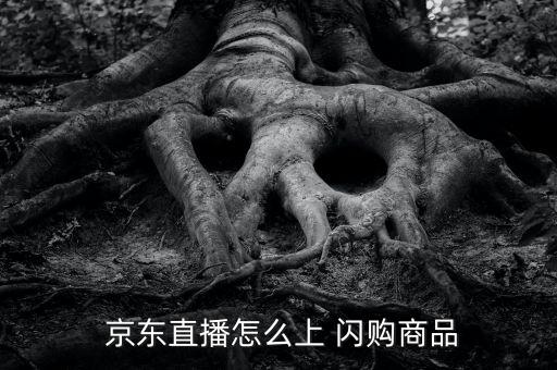  京東直播怎么上 閃購(gòu)商品