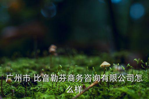 比音勒芬工資怎么樣,比音勒芬品牌是中國(guó)品牌男裝