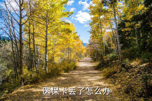 寧波醫(yī)保卡遺失了怎么辦,醫(yī)?？ㄔ趺崔k?別慌!