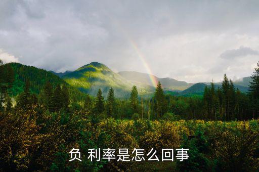 中國進負利率時代怎么辦,負利率醞釀泡沫經濟金融危機正在醞釀