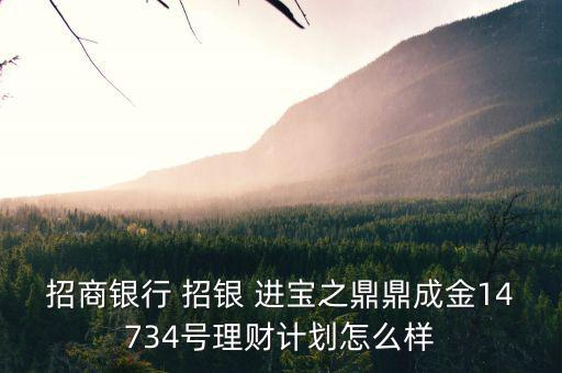 招商銀行 招銀 進(jìn)寶之鼎鼎成金14734號理財計劃怎么樣