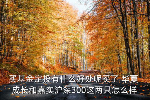 買(mǎi)基金定投有什么好處呢買(mǎi)了 華夏 成長(zhǎng)和嘉實(shí)滬深300這兩只怎么樣