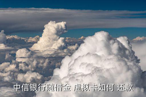 怎么實(shí)現(xiàn)信用卡虛擬還款,信用卡還款頁面出現(xiàn)三個(gè)新地點(diǎn)