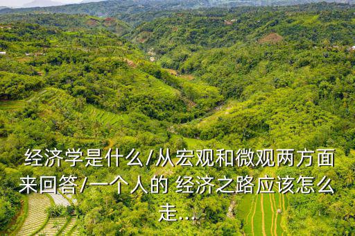  經(jīng)濟(jì)學(xué)是什么/從宏觀和微觀兩方面來回答/一個人的 經(jīng)濟(jì)之路應(yīng)該怎么走...
