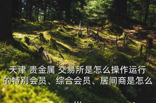 天津 貴金屬 交易所是怎么操作運行的特別會員、綜合會員、居間商是怎么...