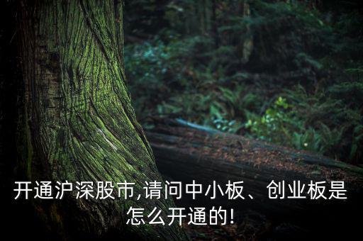 開通滬深股市,請問中小板、創(chuàng)業(yè)板是怎么開通的!