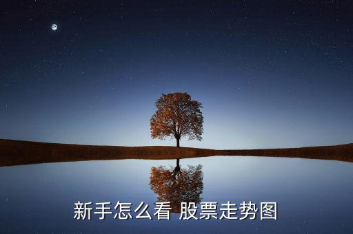 股票的長勢圖怎么看,分時(shí)圖反映股票市場實(shí)時(shí)交易情況