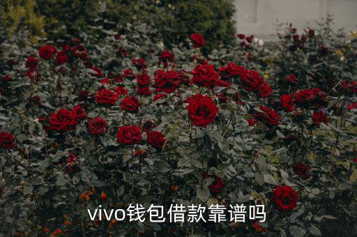 vivo錢(qián)包借款靠譜嗎