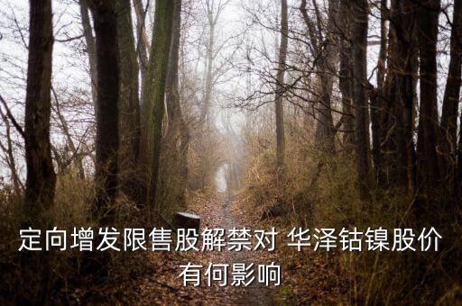 華澤鈷鎳怎么樣,鎳礦概念股:吉恩鎳業(yè)、華澤鈷鎳、恒順電氣
