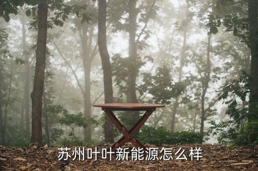 蘇州二葉怎么樣,?？粕究七x拔性考試