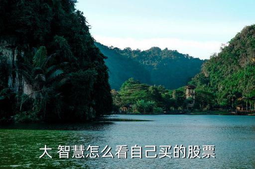 大智慧怎么查傭金,大智慧股票手續(xù)費(fèi)有詳細(xì)計算公式