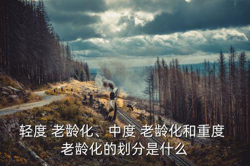 輕度 老齡化、中度 老齡化和重度 老齡化的劃分是什么