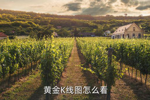  黃金K線(xiàn)圖怎么看