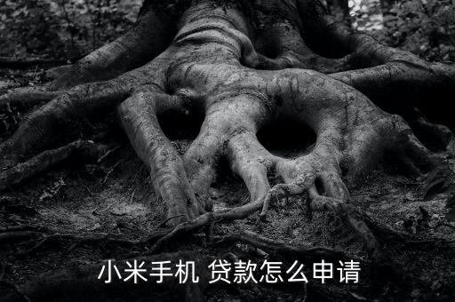  小米手機(jī) 貸款怎么申請