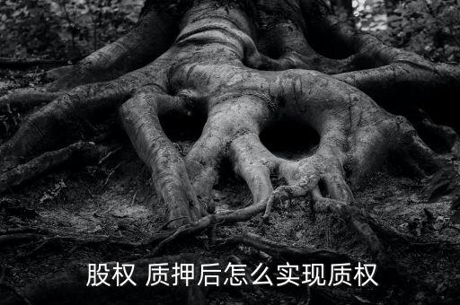 質押的股權怎么變現,基金份額股權質押后不得轉讓