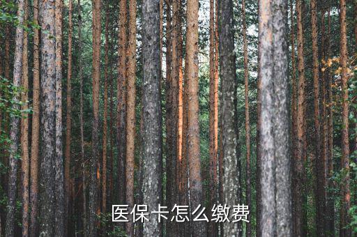  醫(yī)?？ㄔ趺蠢U費(fèi)