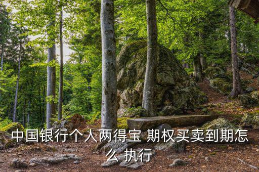 中國(guó)銀行個(gè)人兩得寶 期權(quán)買賣到期怎么 執(zhí)行