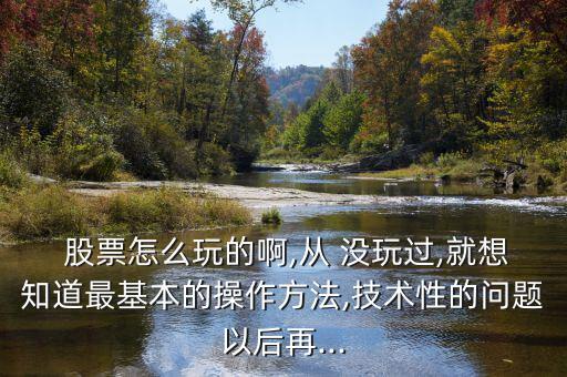  股票怎么玩的啊,從 沒(méi)玩過(guò),就想知道最基本的操作方法,技術(shù)性的問(wèn)題以后再...