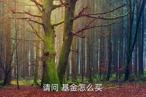 請(qǐng)問 基金怎么買