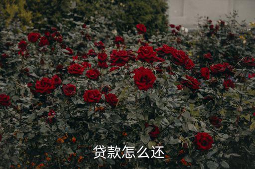 貸款怎么還合適,中國銀行推出等額本息、月均本金等還款方式